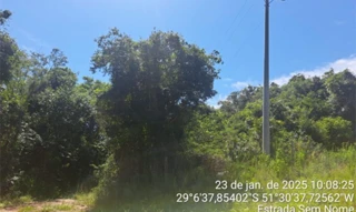 Imóvel 3025949 [''] - ['Linha 1º Secção Rio Burati'] [''] - ['Bento Gonçalves']/['RS'] - 1