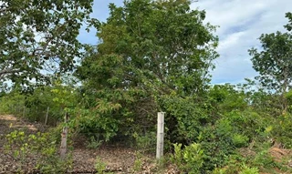 Imóvel 2596549 [''] - ['Nao informado Nao informado'] [''] - ['Nova Xavantina']/['MT'] - 1