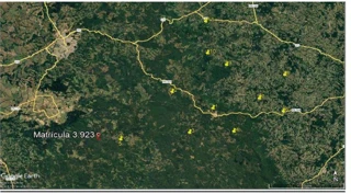 Imóvel 2991949 [''] - ['Faxinal dos Rodrigues ou São Domingos, município de Inacio Martins, comarca de Irati'] [''] - ['Inácio Martins']/['PR'] - 1