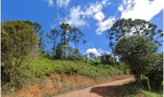 Imóvel 3044350 [''] - ['Rodovia Municipal BNV-447, s/n - Lote 01 - Santa Maria - Benedito Novo / SC'] [''] - ['Benedito Novo']/['SC'] - 1