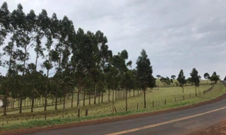 Imóvel 2802750 [''] - ['Fazenda Vitoria'] [''] - ['Bandeirantes']/['PR'] - 1