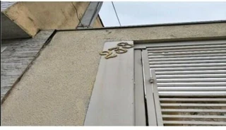 Imóvel 2978150 [''] - ['Rua Ana Luísa de Sousa, 238, São Paulo, SP'] ['Vila Pte. Rasa'] - ['São Paulo']/['SP'] - 1