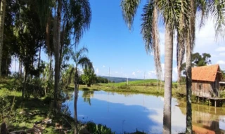 Imóvel 2690450 [''] - ['Estrada Geral de Pinguerito, S/N - Costão do Frade - Bom Retiro / SC'] [''] - ['Bom Retiro']/['SC'] - 1