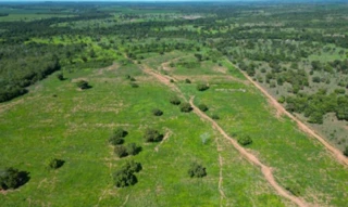 Imóvel 2728850 [''] - ['Fazenda São Benedito, 07, Lote 07, Lot° Serrote, Zona Rural, Pugmil, TO, 77603-000, , Pugmil/TO'] [''] - ['Pugmil']/['TO'] - 1