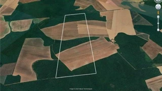 Imóvel 2492150 [''] - ['Fazenda Aparecida, Centro, São José do Rio Claro, MT'] [''] - ['São José Do Rio Claro']/['MT'] - 1