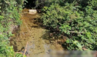 Imóvel 2897650 [''] - ['Faz. Lagoa Azul, Alto Paraguai/MT'] [''] - ['Alto Paraguai']/['MT'] - 1