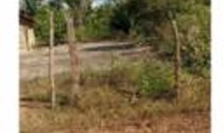 Imóvel 2898550 [''] - ['Grande Fazenda c/ 946,1351 hectares, denominado FAZENDA SÃO RAIMUNDO / GLEBA B'] [''] - ['Timbiras']/['MA'] - 1