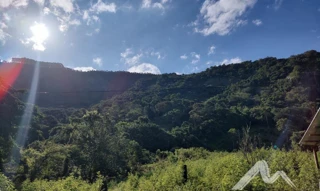 Imóvel 2503850 [''] - ['Córrego Santa Rita, - Zona Rural Mutum - MG'] [''] - ['Mutum']/['MG'] - 1