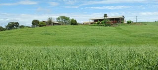 Imóvel 2668250 [''] - ['Fazenda Liberata'] [''] - ['Fraiburgo']/['SC'] - 1