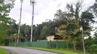 Imóvel 2645950 [''] - ['Rod. Procurador Haroldo Fernandes Duarte - - Do Km 505,200 Ao Km 506,699 - , S/N , Lote 19 - Santa Rita Do Bracui (cunhambebe)'] ['Santa Rita do Bracuí'] - ['Angra Dos Reis']/['RJ'] - 1