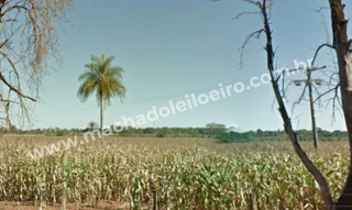 Imóvel 2195050 [''] - ['Rua Santana, s/n'] [''] - ['Rio Brilhante']/['MS'] - 1