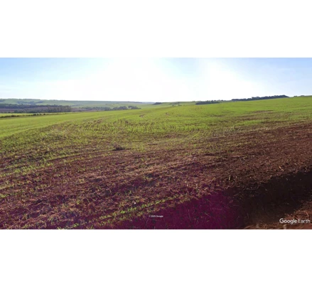 Imóvel rural em Jaguapitã, , PR /Jaguapitã, PR. Área: 375100m2