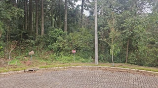 Imóvel 2504150 [''] - ['Rua Bosque das Coníferas, LOTE 25 DA QUADRA 02, LOTEAMENTO BOSQUE DAS ARAUCÁRIAS ETAPA 1'] ['Linha Imperial'] - ['Nova Petrópolis']/['RS'] - 1