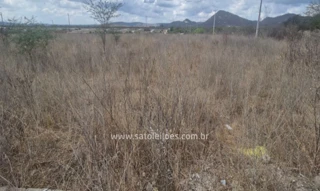 Imóvel 2897250 [''] - ['Rua Cícero Monteiro de Melo, 21, Lote 21, Quadra B, São Cristovão, Arcoverde, PE, 56503-146'] ['Centro'] - ['Arcoverde']/['PE'] - 1