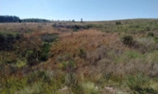 Imóvel 2832350 [''] - ['Estrada Federal BR 293, Km 136,5'] [''] - ['Candiota']/['RS'] - 1