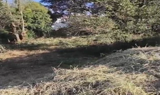 Imóvel 2603950 [''] - ['Nao informado Nao informado'] [''] - ['Chapecó']/['SC'] - 1