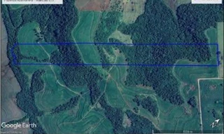 Imóvel 2546150 [''] - ['Secção Rio Claro, Gleba Rio Mourão, Município de Engenheiro Beltrão'] [''] - ['Engenheiro Beltrão']/['PR'] - 1