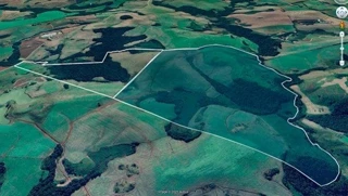 Imóvel 2556451 [''] - ['Zortéa, SC'] [''] - ['Zortéa']/['SC'] - 1