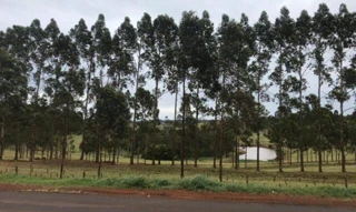 Imóvel 2802751 [''] - ['Fazenda Vitoria, neste Municipio'] [''] - ['Bandeirantes']/['PR'] - 1