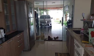 Imóvel 2729451 [''] - ['Avenida Norte 143'] [''] - ['Querência']/['MT'] - 1