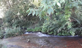 Imóvel 3071851 [''] - ['Estrada Municipal Adolfo Rodrigues Simoes, s/nº- Fazenda Alto do Paiolzinho'] [''] - ['Brazópolis']/['MG'] - 1