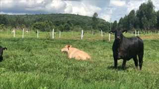 Imóvel 2561851 [''] - ['Rua Vileneuve Maia'] ['Prata'] - ['Campina Grande']/['PB'] - 1