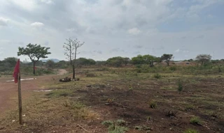 Imóvel 2609751 [''] - ['Lote nº 09 da Quadra nº 49'] [''] - ['Araguacema']/['TO'] - 1