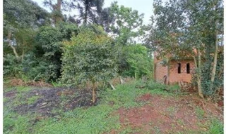 Imóvel 2736151 [''] - ['Avenida Paula Freitas'] [''] - ['União Da Vitória']/['PR'] - 1