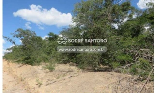 Imóvel 2450852 [''] - ['ÁREA DE TERRAS COM 310,6200 HA'] [''] - ['Taiobeiras']/['MG'] - 1