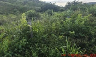 Imóvel 2662852 [''] - ['Estrada Vicinal, s/nº - Fazenda Santo Antonio - Zona Rural - Alto Alegre do Pindaré / MA'] [''] - ['Alto Alegre do Pindaré']/['MA'] - 1