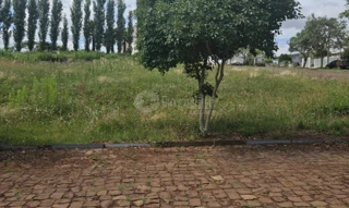 Imóvel 2584252 [''] - ['Avenida Brasília, Rua Silva Jardim e Rua Frei Ricardo Aresi'] [''] - ['Barracão']/['RS'] - 1