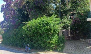 Imóvel 3055252 [''] - ['Avenida Henrique Monat, 862, Belvedere, Caxambu, MG, 37440000'] ['Caxambu'] - ['Caxambu']/['MG'] - 1
