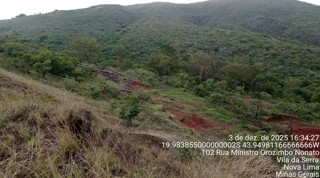 Imóvel 2870452 [''] - ['Rodovia BR-356, Belvedere'] ['Belvedere'] - ['Belo Horizonte']/['MG'] - 1