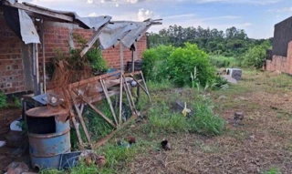 Imóvel 2494352 [''] - ['Rua Jessie Marques Boska, Lote 42 - Quadra 03, Chácaras de Lazer Morro do Cipó, Zona Sul'] [''] - ['Mandaguaçu']/['PR'] - 1