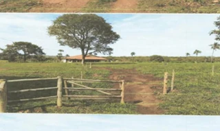Imóvel 2982152 [''] - ['gleba de terras, ideal para quem busca campo produtivo e bem localizado, Gleba 03 de 04'] [''] - ['Iporá']/['GO'] - 1