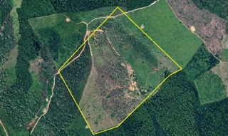 Imóvel 3028952 [''] - ['FAZENDA 4 IRMÃOS (POVOADO BOI NÃO BERRA), S/N, ZONA RURAL'] [''] - ['Marajá Do Sena']/['MA'] - 1