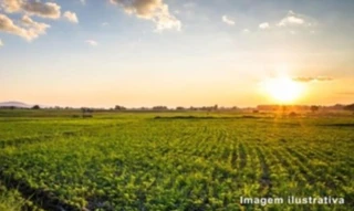 Imóvel 2721252 [''] - ['Data Brejo das Meninas, Santa Filomena - PI'] [''] - ['Santa Filomena']/['PI'] - 1