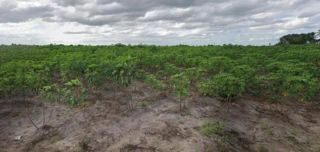 Imóvel 2498852 [''] - ['Fazenda Zumbi, município de Sapé'] [''] - ['Sapé']/['PB'] - 1