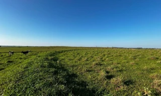 Imóvel 2659252 [''] - ['Sítio São Joaquim, Área Rural, Município de Martinópolis, Lucélia, KM 24,CEP: 19509-899'] [''] - ['Lucélia']/['SP'] - 1