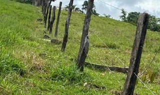 Imóvel 2968452 [''] - [''] [''] - ['outras']/['na'] - 1