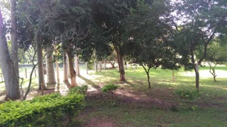 Imóvel 3042852 [''] - ['Avenida Delfinópolis'] [''] - ['Campo Grande']/['MS'] - 1