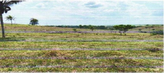 Imóvel 2976852 [''] - ['Lote Rural nº 29-B (vinte e nove B), da Gleba nº 03(três), do Projeto Assentamento Verde Seringal'] [''] - ['Corumbiara']/['RO'] - 1