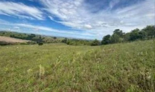Imóvel 2868152 [''] - ['Lote de terras sob no 158, localizado na Estrada Água da Roseira, Gleba 14, denominado Sítio Água da Roseira, Colônia Muquilão, no Município de Nova Tebas, Comarca de Manoel Ribas/PR'] [''] - ['Manoel Ribas']/['PR'] - 1