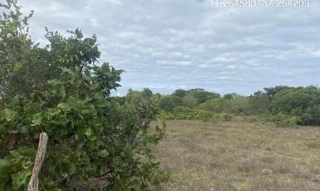 Imóvel 2275452 ['IDR184648'] - ["Estrada do Abais, s/n, Quadra 104, Lote 30, Loteamento Vila Rica do Abais, Itaporanga D'Ajuda, SE, 49120-000"] [''] - ["Itaporanga D'Ajuda"]/['SE'] - 1