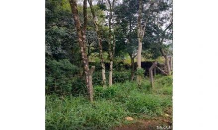 Terreno em Chapecó, Palmital, Lote 01, Quadra 56, Palmital, SC. Área: 2593.56m2