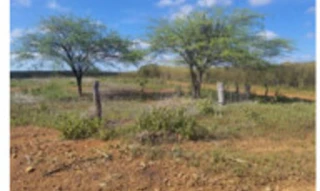 Imóvel 2931152 [''] - ['sítio Maxixeiro, fazenda Lagoas'] [''] - ['Dormentes']/['PE'] - 1
