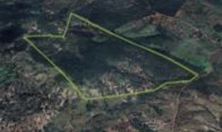 Imóvel 2601352 [''] - ['Fazenda Estrela do Norte, Filadélfia/TO'] [''] - ['Filadélfia']/['TO'] - 1