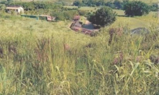 Imóvel 2610552 [''] - ['ACESSO PELA RODOVIA QUE LIGA MURIAÉ AO DISTRITO DE VERMELHO, 2 - Condomínio Campestre Lelente - Distrito de Vermelho Muriaé - MG'] [''] - ['Muriaé']/['MG'] - 1