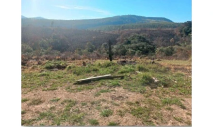 Terreno em Congonhinhas, Iguape, Fazenda Lagoa e Paraiso, PR. Área: 266200m2