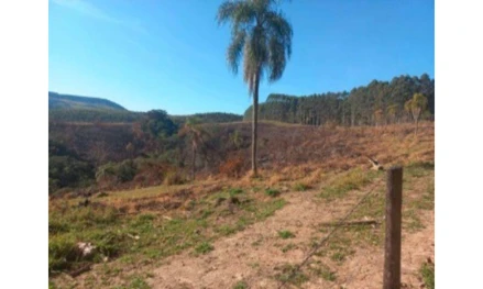 Terreno em Congonhinhas, Iguape, Fazenda Lagoa e Paraiso, PR. Área: 266200m2 - imagem 0